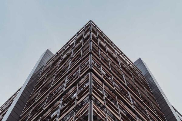 红果视频官网界面展示